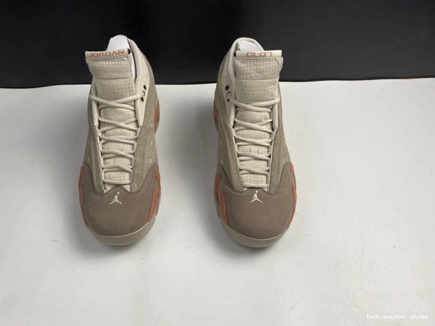 Rep LUCY Jordan Low 14 DC9857-200 Terra Clot AIR Blush Retro 0728